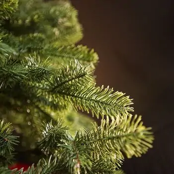 Kovalivian Christmas Tree Green With 100% Silicone PE 250 CM - ნაძვის ხე 100% სილიკონი, 6 image