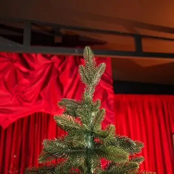 Premium Christmas Tree PE 220 CM ნაძვის ხე 100% სილიკონი, 3 image