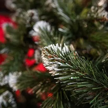 Lidiya Green Christmas Tree With White Tips PVC 250CM - ნაძვის ხე თეთრი ბოლოებით, 7 image