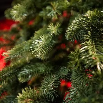 Kovalivian Christmas Tree Green With 100% Silicone PE 250 CM - ნაძვის ხე 100% სილიკონი, 4 image