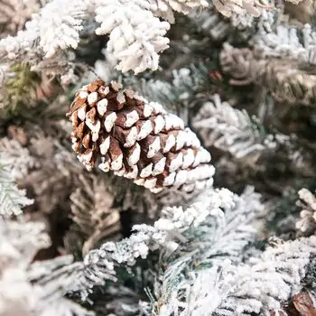 Winter Wonder Snow-Covered Christmas Tree 240 CM With Pine Cones საახალწლო ნაძვის ხე დათოვლილი ტოტებით და გირჩით 240  სმ (OT2084), 12 image