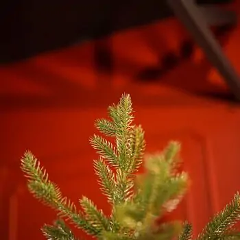 Christmas Tree 100 % Silicone Needle 220 CM - ნაძვის ხე 100% სილიკონი, 3 image
