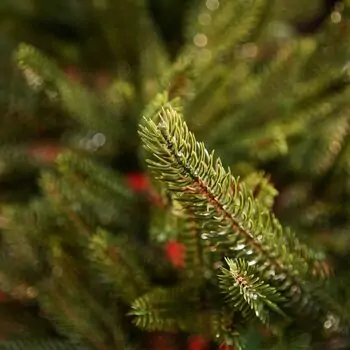 Alpine Christmas Tree PE 210 CM Green - საახალწლო ნაძვის ხე, 100 % სილიკონი, 5 image
