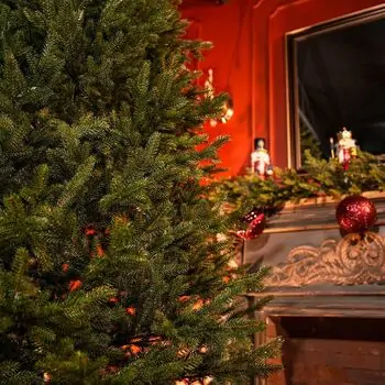 Christmas Tree Grace 100% Silicone Needle PE 250 CM - ნაძვის ხე 100% სილიკონის წიწვებით, 7 image