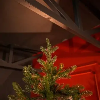 Christmas Tree Grace 100% Silicone Needle PE 250 CM - ნაძვის ხე 100% სილიკონის წიწვებით, 4 image