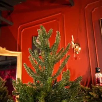 Christmas Tree Lamelia With Mixed Silicone Needle 180 CM - ნაძვის ხე შერეული სილიკონის წიწვებით, 3 image