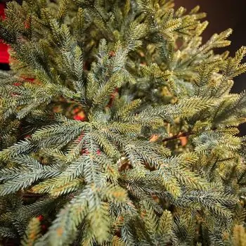 Christmas Tree საახალწლო ნაძვის ხე სილიკონის წიწვებით 240 CM (OT2329), 7 image