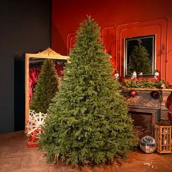 Christmas Tree Grand Wide 100 % Silicone Needle 260 CM - ნაძვის ხე 100% სილიკონი