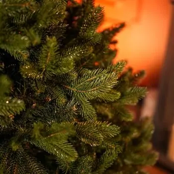 Christmas Tree Lamelia With Mixed Silicone Needle 180 CM - ნაძვის ხე შერეული სილიკონის წიწვებით, 19 image