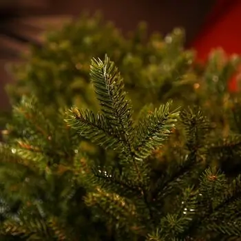 Christmas Tree Grand Wide 100 % Silicone Needle 260 CM - ნაძვის ხე 100% სილიკონი, 7 image
