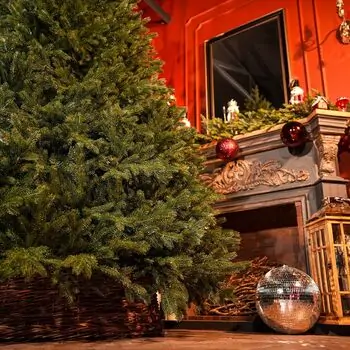 Christmas Tree Grand Wide 100 % Silicone Needle 260 CM - ნაძვის ხე 100% სილიკონი, 12 image
