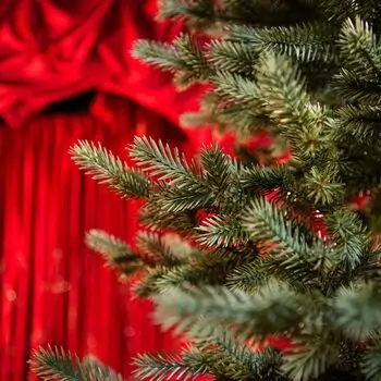 Scandinavian Christmas Tree PE 210 CM  With Blue Tips  საახალწლო ნაძვის ხე 100% სილიკონი, 8 image