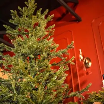 Christmas Tree 100 % Silicone Needle 220 CM - ნაძვის ხე 100% სილიკონი, 5 image