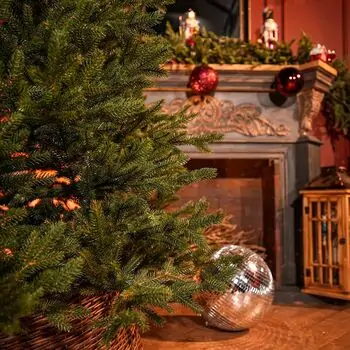 Christmas Tree Grace 100% Silicone Needle PE 250 CM - ნაძვის ხე 100% სილიკონის წიწვებით, 12 image