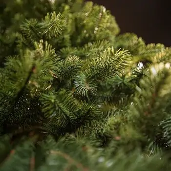 Kovalivian Christmas Tree Green With 100% Silicone PE 250 CM - ნაძვის ხე 100% სილიკონი, 8 image