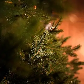Christmas Tree Grace 100% Silicone Needle PE 250 CM - ნაძვის ხე 100% სილიკონის წიწვებით, 11 image