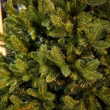 Christmas Tree Lamelia With Mixed Silicone Needle 180 CM - ნაძვის ხე შერეული სილიკონის წიწვებით, 5 image