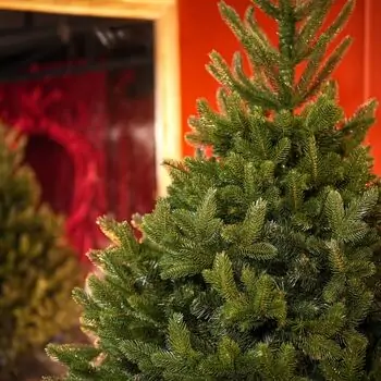 Christmas Tree Lamelia With Mixed Silicone Needle 180 CM - ნაძვის ხე შერეული სილიკონის წიწვებით, 15 image