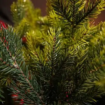 Holandiia Christmas Tree With Olive Tips PE 210 CM საახალწლო ნაძვის ხე, 100% სილიკონი, 10 image