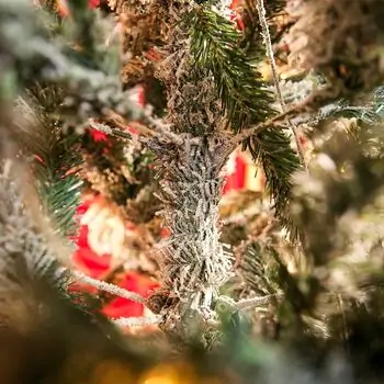 Angel Glow Christmas Tree 210 CM With Pine Cones And Lights, PE + PVC Snow-Covered ნაძვის ხე სილიკონის შერეული ტოტებით, გირჩით და განათებით, 9 image