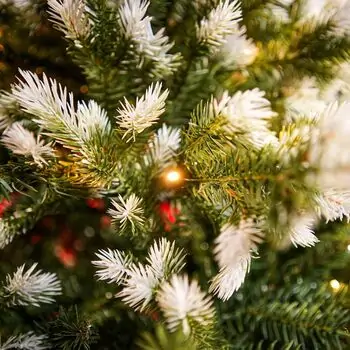 Christmas Tree With Lights 180 CM PE+PVC საახალწლო ნაძვის ხე, შერეული სილიკონის წიწვებით და განათებით, 4 image