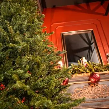 Christmas Tree Grace 100% Silicone Needle PE 210 CM - ნაძვის ხე 100% სილიკონის წიწვებით, 6 image