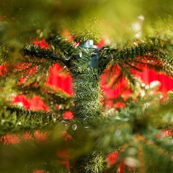 Christmas Tree Grace Slim 100 % Silicone Needle 240 CM - ნაძვის ხე 100% სილიკონი, 8 image