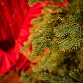 Christmas Tree Green 240 CM PE  საახალწლო ნაძვის ხე, 100% სილიკონი, 5 image