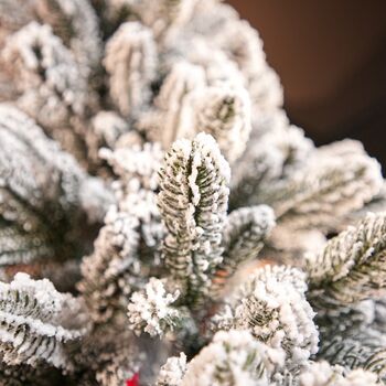 Global Snow-Covered Christmas Tree PVC+PE 180 CM დათოვლილი ნაძვის ხე შერეული სილიკონის წიწვებით, 4 image