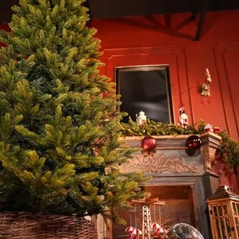 Nordgran Christmas Tree 210 CM Nordgran With Mixed Silicone Needle - ნაძვის ხე შერეული სილიკონის წიწვებით, 8 image