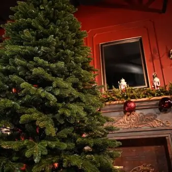 Ukrainian Christmas Tree 230 CM 100 % Silicone Needle - ნაძვის ხე 100% სილიკონი, 7 image
