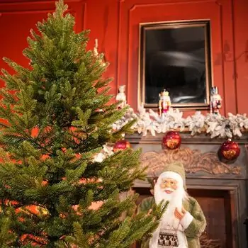 Northern Glow Christmas Tree 150 CM With Mixed Silicone Needle PE+PVC -  ნაძვის ხე შერეული სილიკონის წიწვებით, 6 image