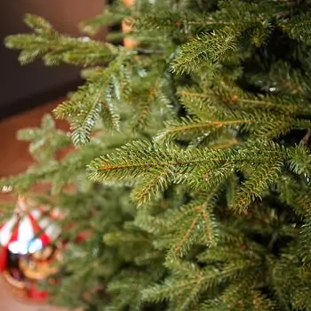 Alpina Christmas Tree 240 CM Edelweiss With Mixed Silicone Needle - ნაძვის ხე შერეული სილიკონის წიწვებით, 8 image