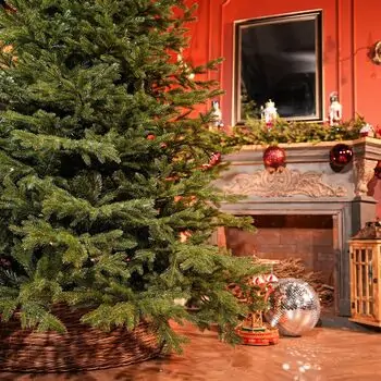 Alpina Christmas Tree 240 CM Edelweiss With Mixed Silicone Needle - ნაძვის ხე შერეული სილიკონის წიწვებით, 5 image