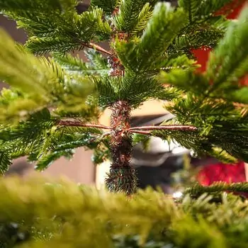 Evergreen Charm Christmas Tree 210 CM 100% Silicone - ნაძვის ხე 100 % სილიკონი, 16 image