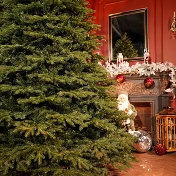 Riviera Alpine Christmas Tree 260 CM With Mixed Silicone Needle PE+PVC- ნაძვის ხე შერეული სილიკონის წიწვებით, 6 image