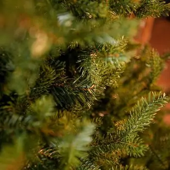 Riviera Alpine Christmas Tree 180 CM With Mixed Silicone Needle PE+PVC - ნაძვის ხე შერეული სილიკონის წიწვებით, 9 image
