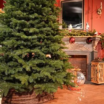Ukrainian Prime Christmas Tree 100 % Silicone Needle 250 CM - ნაძვის ხე 100% სილიკონი, 6 image