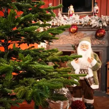 Nordic Frost Christmas Tree 100% Silicone 180 CM - ნაძვის ხე 100 % სილიკონი, 5 image