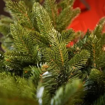 Lamelia Christmas Tree PE+PVC 220CM With Mixed Silicone Needle - ნაძვის ხე შერეული სილიკონის წიწვებით, 7 image