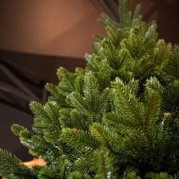 Lamelia Christmas Tree PE+PVC 240CM With Mixed Silicone Needle - ნაძვის ხე შერეული სილიკონის წიწვებით, 7 image