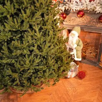 Riviera Alpine Christmas Tree 220 CM With Mixed Silicone Needle PE+PVC - ნაძვის ხე შერეული სილიკონის წიწვებით, 4 image