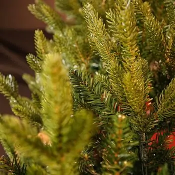 Christmas Whisper Tree PE+PVC 210 CM With Mixed Silicone Needle - ნაძვის ხე შერეული სილიკონის წიწვებით, 15 image