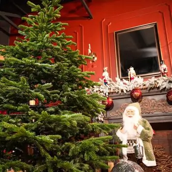 Evergreen Charm Christmas Tree 210 CM 100% Silicone - ნაძვის ხე 100 % სილიკონი, 6 image