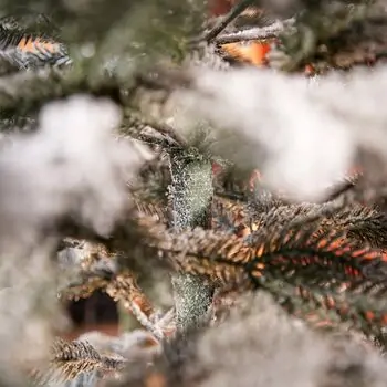 Premium Snow-Covered Christmas Tree PE 200 CM - ნაძვის ხე 100% სილიკონი, 15 image