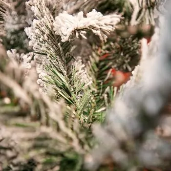 Snowy Belle Christmas Tree 270 CM საახალწლო ნაძვის ხე დათოვლილი ტოტებით, 11 image