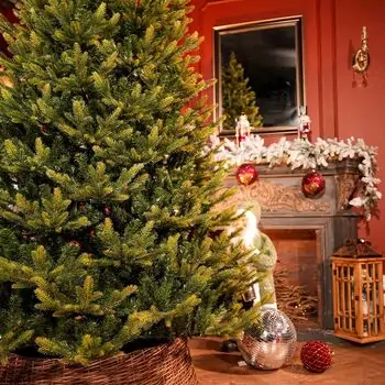 Nordgran Christmas Tree Nordgran With Mixed Silicone Needle 270 CM - ნაძვის ხე შერეული სილიკონის წიწვებით, 5 image