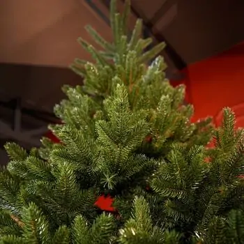 Lamelia Christmas Tree PE+PVC 240CM With Mixed Silicone Needle - ნაძვის ხე შერეული სილიკონის წიწვებით, 8 image