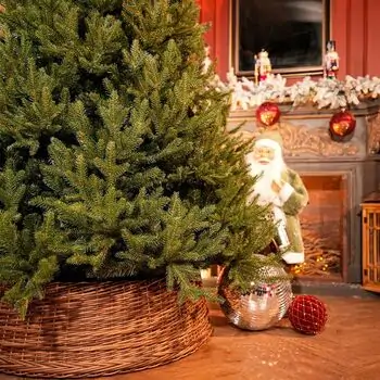 Riviera Alpine Christmas Tree 180 CM With Mixed Silicone Needle PE+PVC - ნაძვის ხე შერეული სილიკონის წიწვებით, 5 image