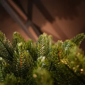 Ukrainian Prime Christmas Tree 100 % Silicone Needle 250 CM - ნაძვის ხე 100% სილიკონი, 10 image